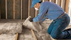 Best Blown-In Insulation  in Orlando, FL