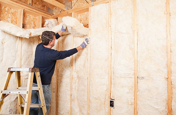 Best Pipe and Duct Insulation  in Orlando, FL